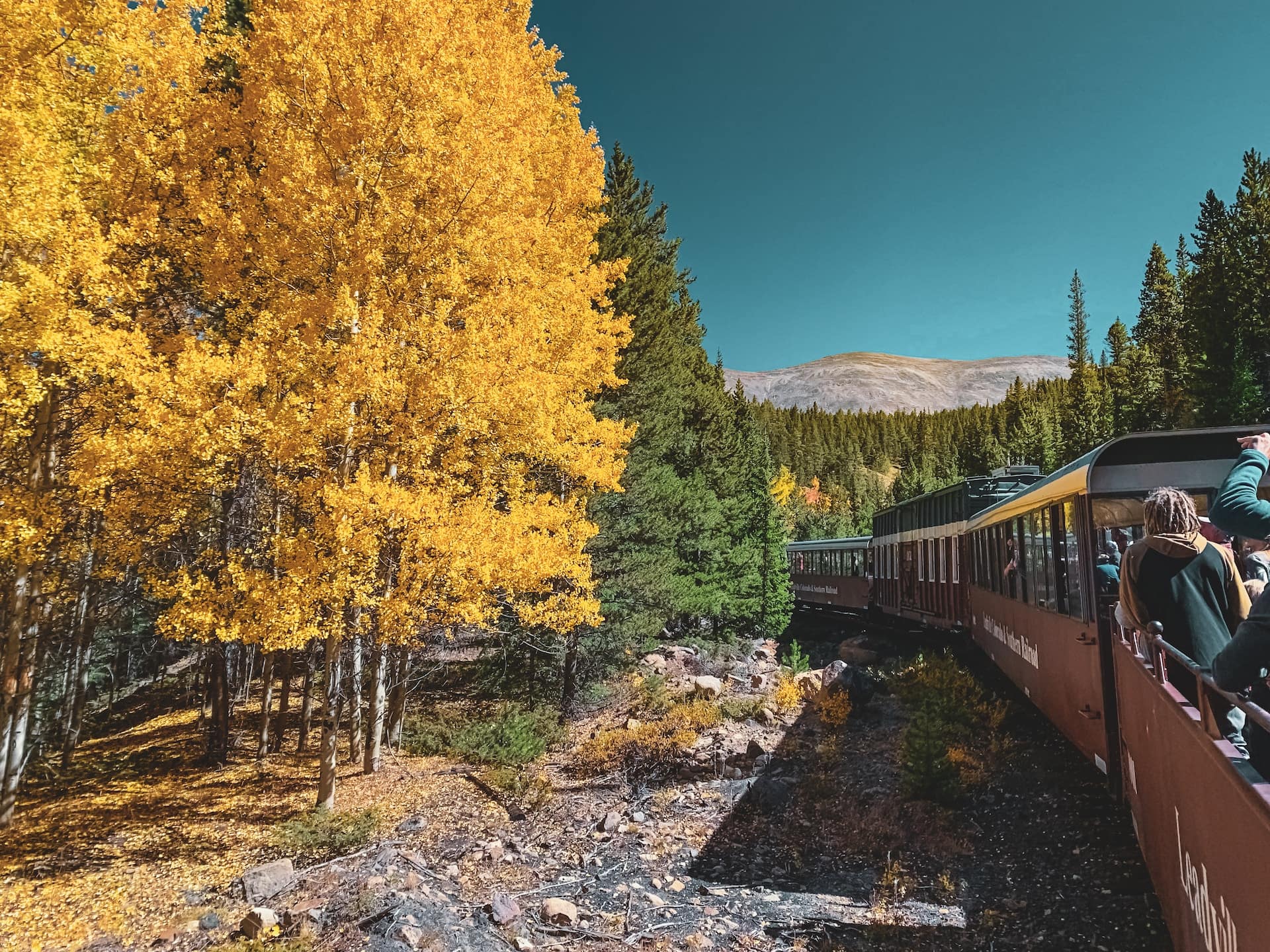 Why Choose Rocky Mountaineer Services on Your Next Trip post thumbnail image